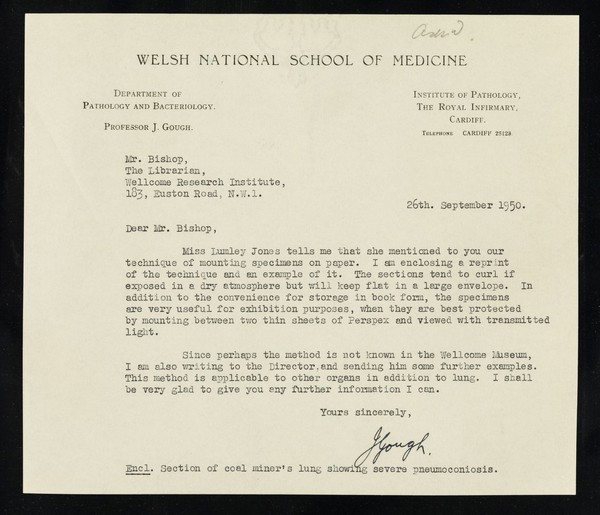 Welsh National School of Medicine : Department of Pathology and Bacteriology : Professor J. Gough.