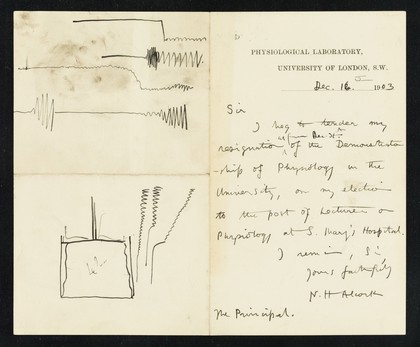 Physiological Laboratory, University of London, S.W.