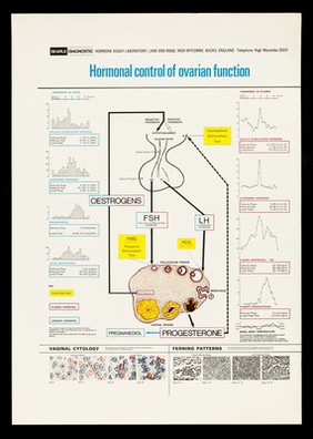 Hormonal control of ovarian function / Searle Diagnostic Hormone Assay Laboratory.