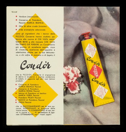 Conserve / Pezziol.