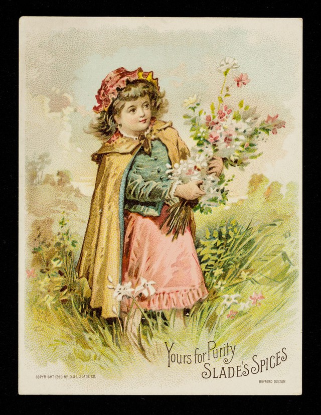 No text description is available for this image