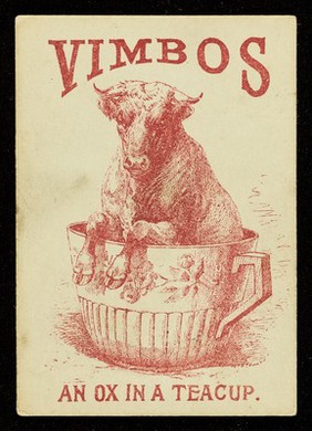 Vimbos : an ox in a teacup.