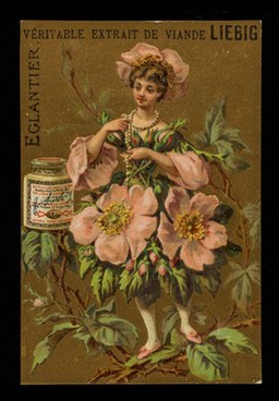 Véritable extrait de viande Liebig : Eglantier / Liebig's Company.