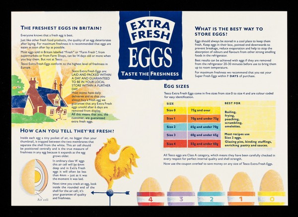 Tesco extra fresh eggs : the freshest eggs in Britain? See inside / Tesco.