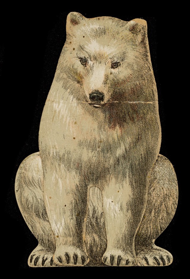 digitised image 1
