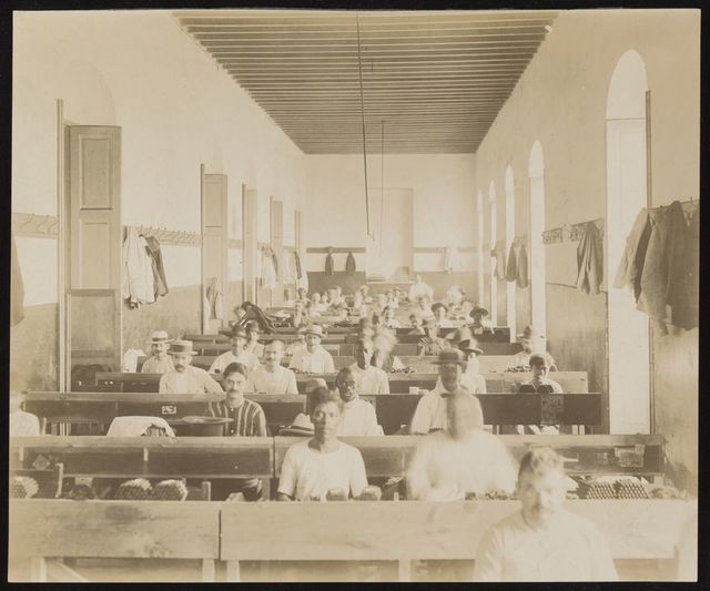 digitised image 1
