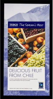 Delicious fruit from Chile : at Tesco, our buyers have travelled to Chile and selected only the best produce for our customers : grown with care by the fruit farmers of Chile / Tesco.