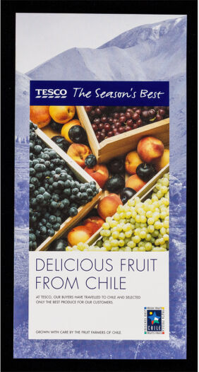 Delicious fruit from Chile : at Tesco, our buyers have travelled to Chile and selected only the best produce for our customers : grown with care by the fruit farmers of Chile / Tesco.