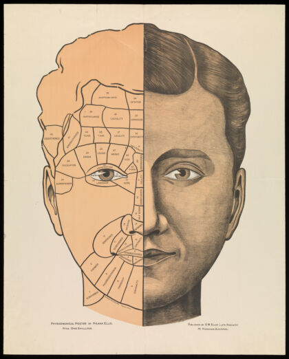 A head divided in two, the left half showing activities numbered 1 to 42. Lithograph by Frank Ellis, 1901.
