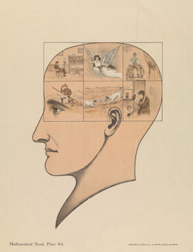 A head divided in two, the left half describing activities numbered 1 to 42. Lithograph by Frank Ellis, 1901.