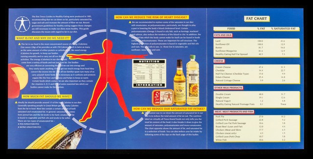 A healthy eating guide : fat / Tesco Stores Ltd.