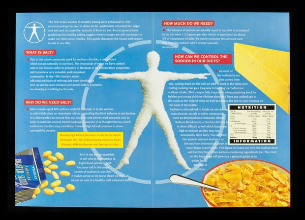 A healthy eating guide : salt / Tesco Stores Ltd.