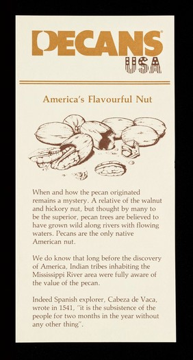 Pecans USA : America's flavourite nut / U.S.A. Pecan Press Office.