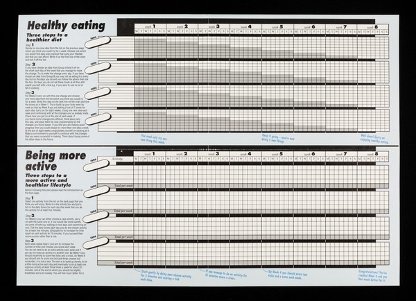 Healthy lifestyle progress charts : healthy eating, being more active, stopping smoking made easier / Health Education Authority, The Health Show, BBC.