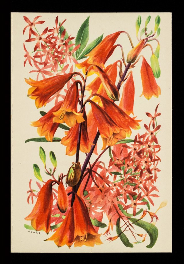 No text description is available for this image