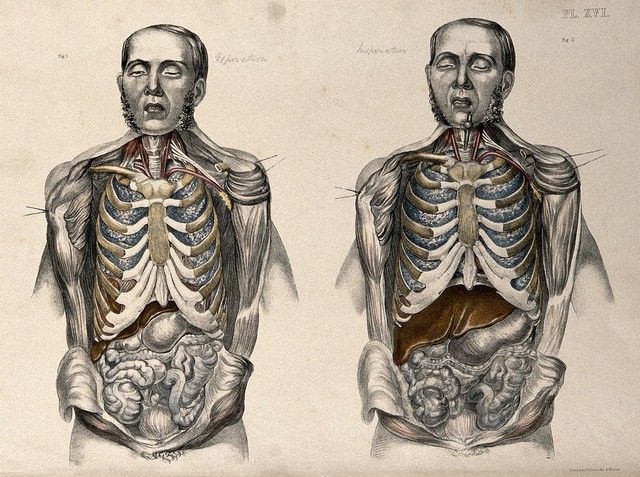 digitised image 1