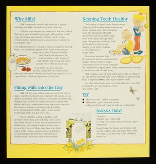 When your child is thirsty, try milk : the healthy choice... : anytime / National Dairy Council.