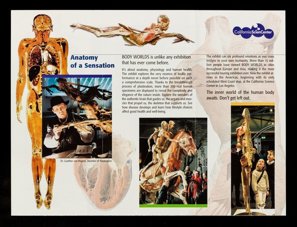 Discover the mysteries under your skin : Gunther von Hagens' Body Worlds : the anatomical exhibtion of real human bodies : California Science Center, July 2, 2004 to January 23, 2005 / California Science Center.