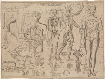 Anatomy of the principal parts of the human body. Engraving by J. Blanchin after J. Dumoulin, 1679.