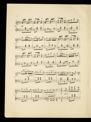 The Pain killer polka / composed by F. Archer.