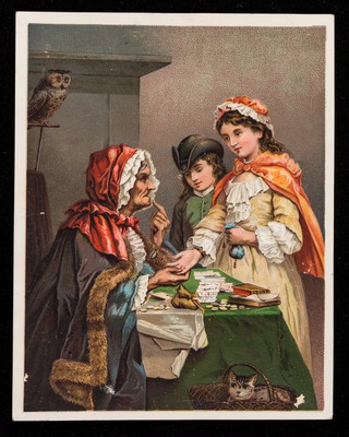 The gipsy fortune-teller / [Dr. Jayne Company].