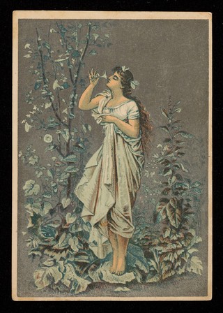 Seasonable suggestions / [Dr. Jayne Company].