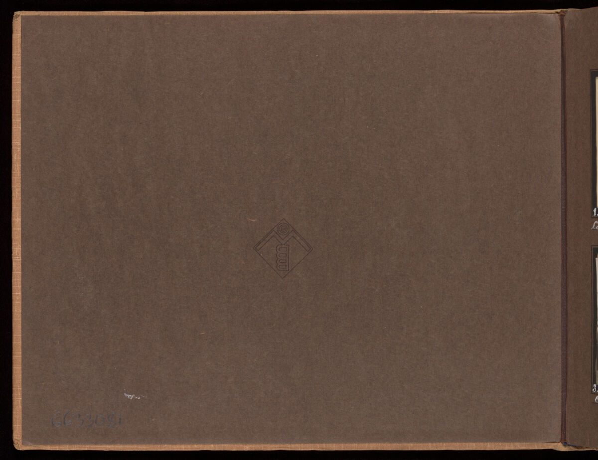 Smallpox epidemic, Palestine. Photograph album, ca. 1922.