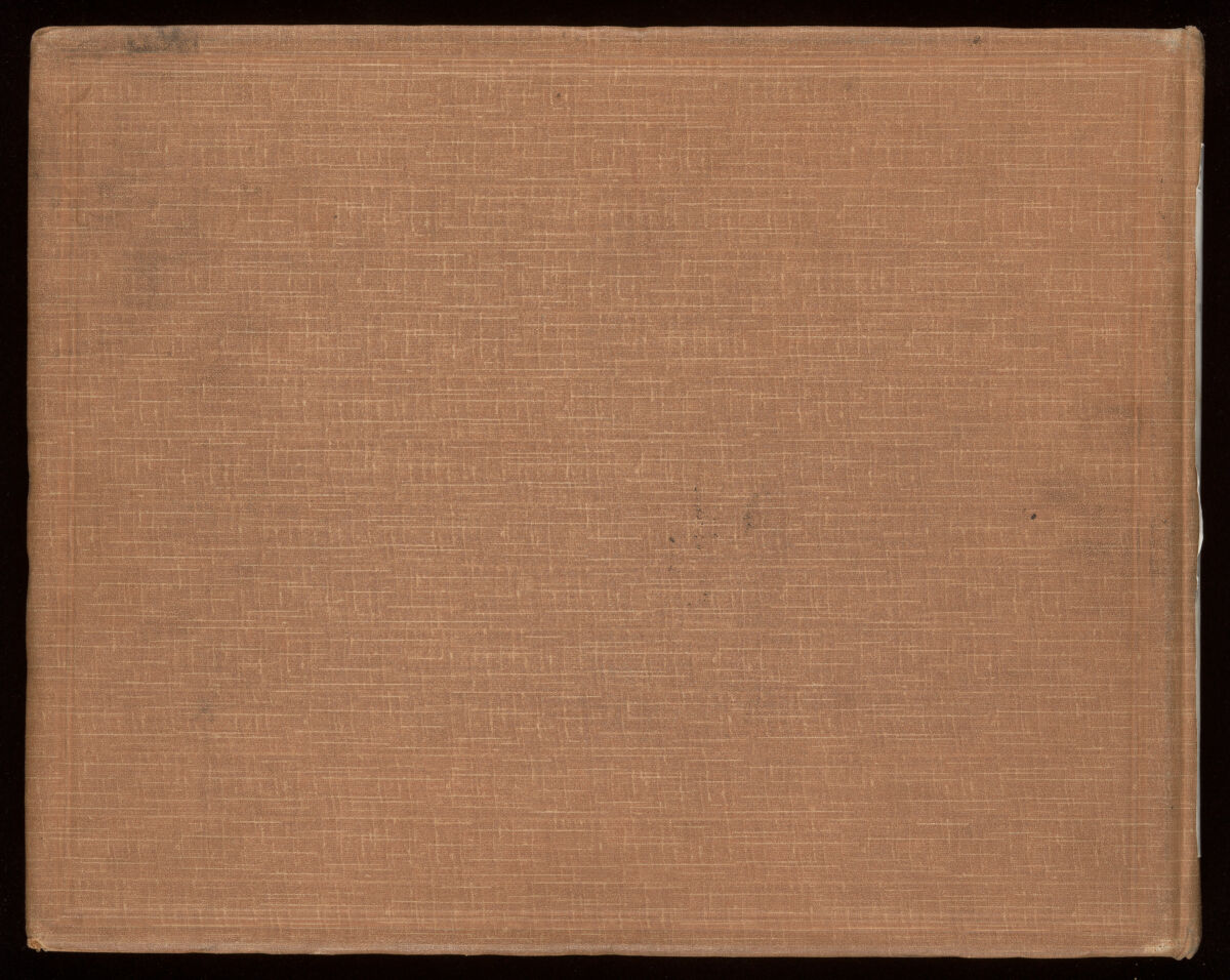 Smallpox epidemic, Palestine. Photograph album, ca. 1922.
