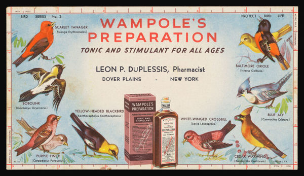 Wampole's Preparation : tonic and stimulant for all ages / Leon P. DuPlessis.