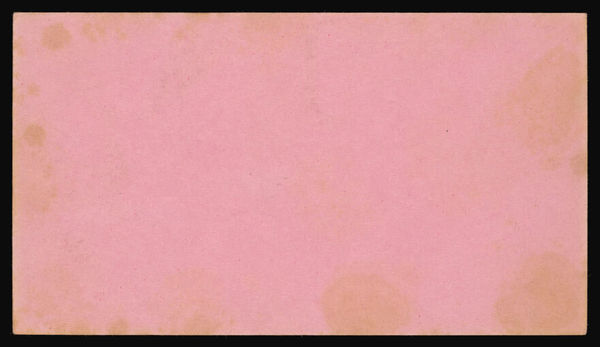 Wampole's Preparation : tonic and stimulant for all ages / Leon P. DuPlessis.