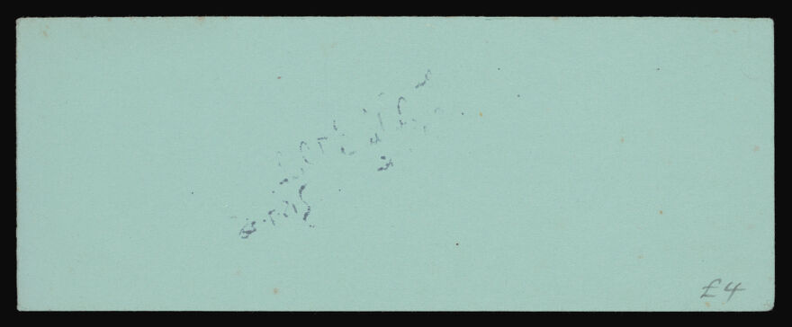 Wampole's Preparation : tonic and stimulant for all ages / Leon P. DuPlessis.