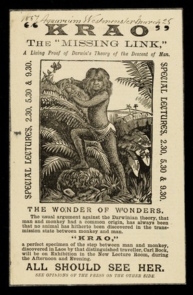 "Krao", the "missing link" : a living proof of Darwin's theory of the descent of man : special lectures, 2.30, 5.30 & 9.30... : all should see her : [jungle illustration].