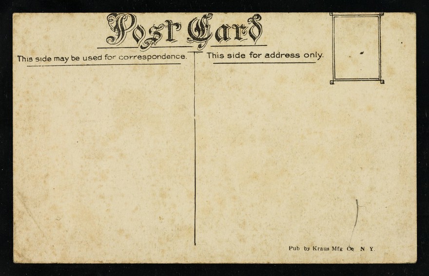 Violet and Daisy : English Siamese twins : "if we have interested you kindly tell your friends to visit us.".