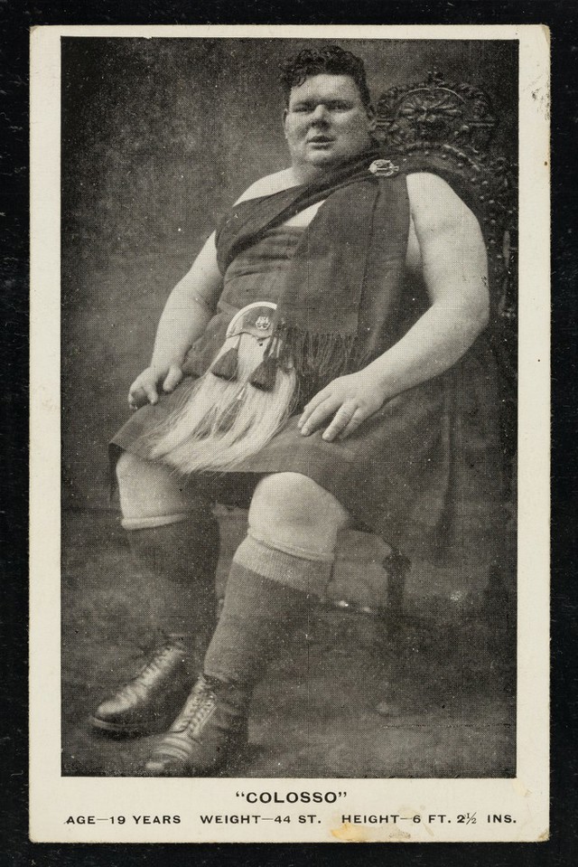 No text description is available for this image