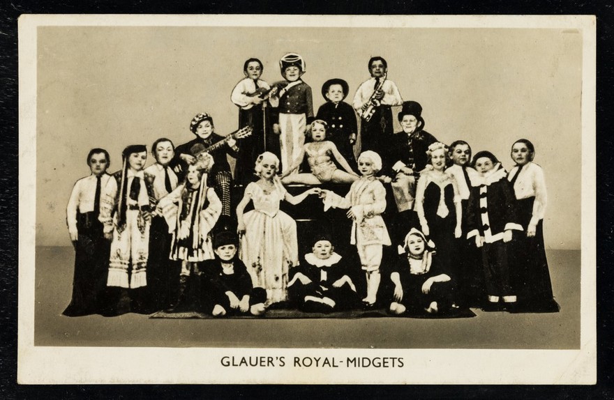 Glauer's Royal-Midgets.