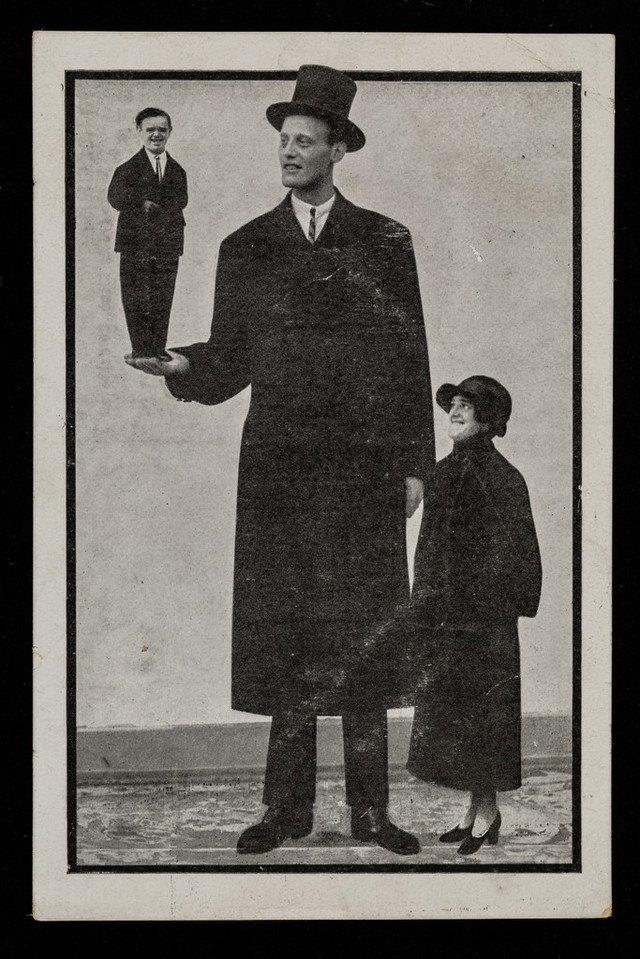 No text description is available for this image