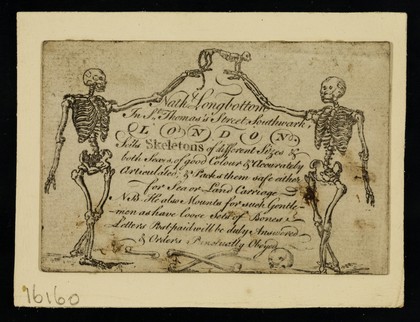 Nath. Longbottom in St. Thomas's Street, Southwark, London sells skeletons of different sizes & both sexes, of good colour & accurately articulated; & packs them safe either for sea or land carriage : N.B. he also mounts for such gentlemen as have loose sets of bones : letters post-paid will be duly answered & orders punctually obeyed.