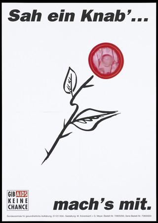 A rose with a red condom instead of the flower; representing protection against AIDS among new lovers. Colour lithograph after M. Kolvenbach and G. Meyer, 199-.