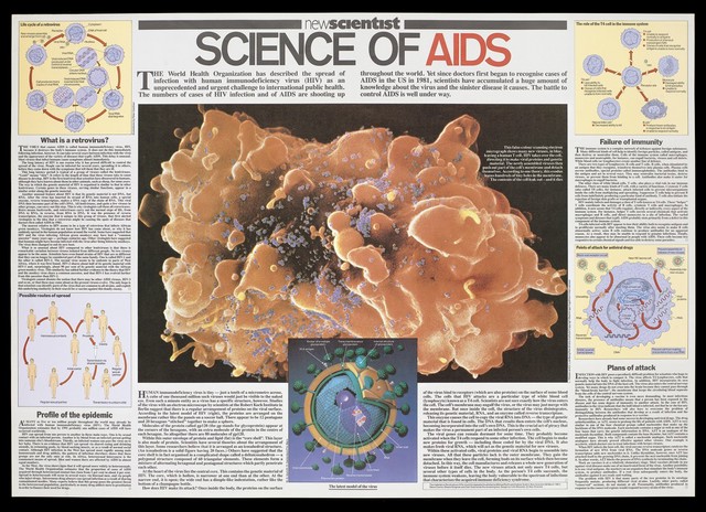 A T-cell infected with HIV within a poster by the New Scientist describing the science of AIDS. Colour lithograph.