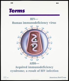 Structure of a human immunodeficiency virus by Glasgow and Assoc '89; third of sixteen advertisement posters by the American Red Cross promoting education about AIDS. Colour lithograph, 1990.