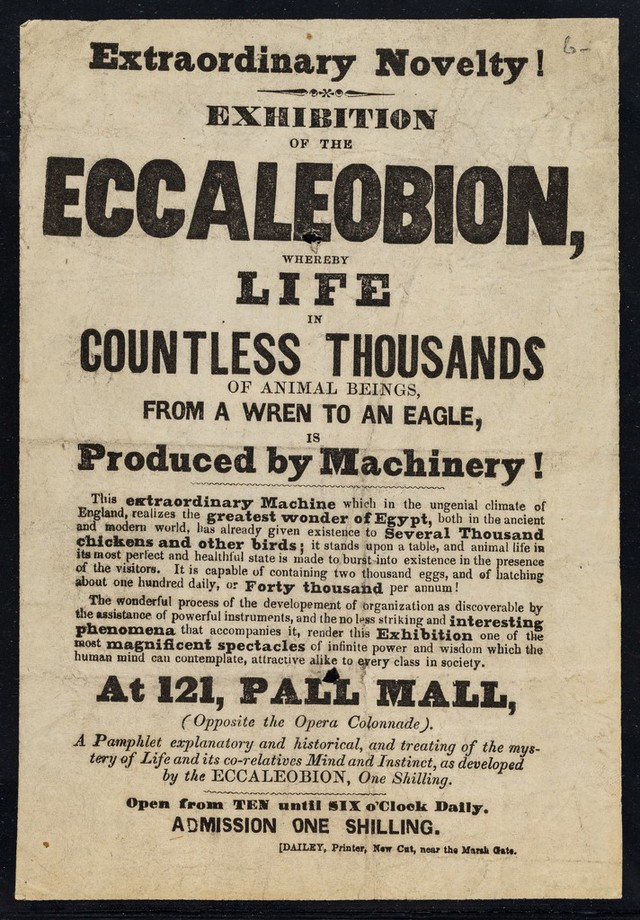 digitised image 1