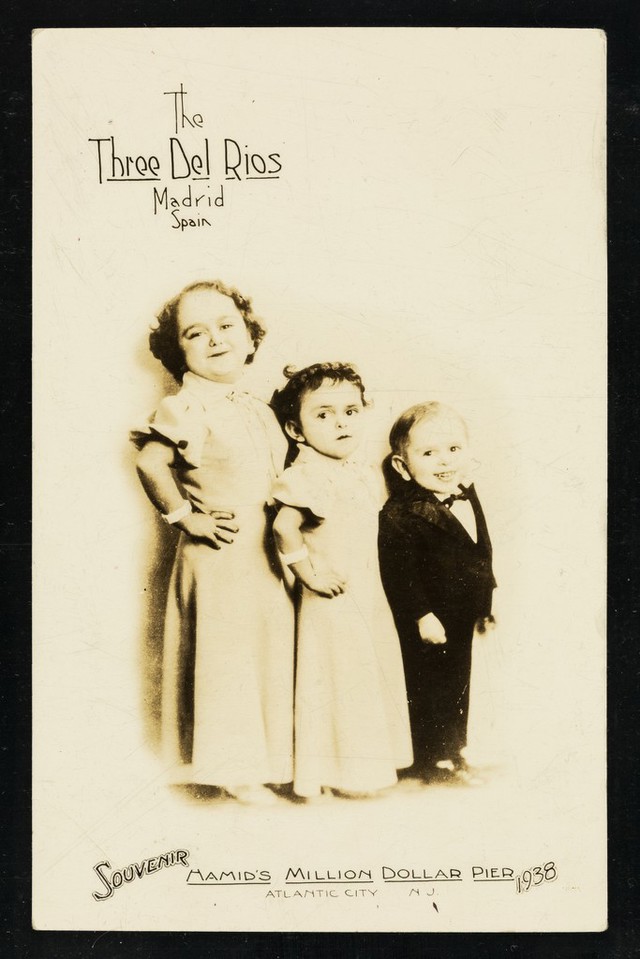 No text description is available for this image