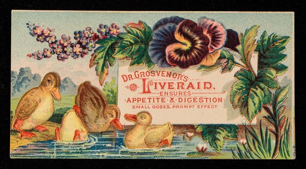 Dr. Grosvenor's Liveraid : ensures appetite & digestion : small doses, prompt effect.