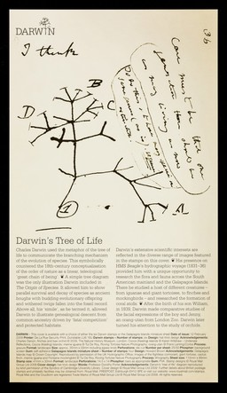 Darwin : Darwin's tree of life / words: Dorothy Porter.
