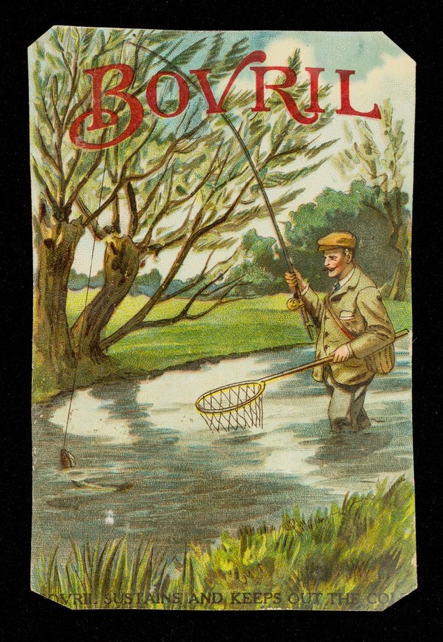 No text description is available for this image