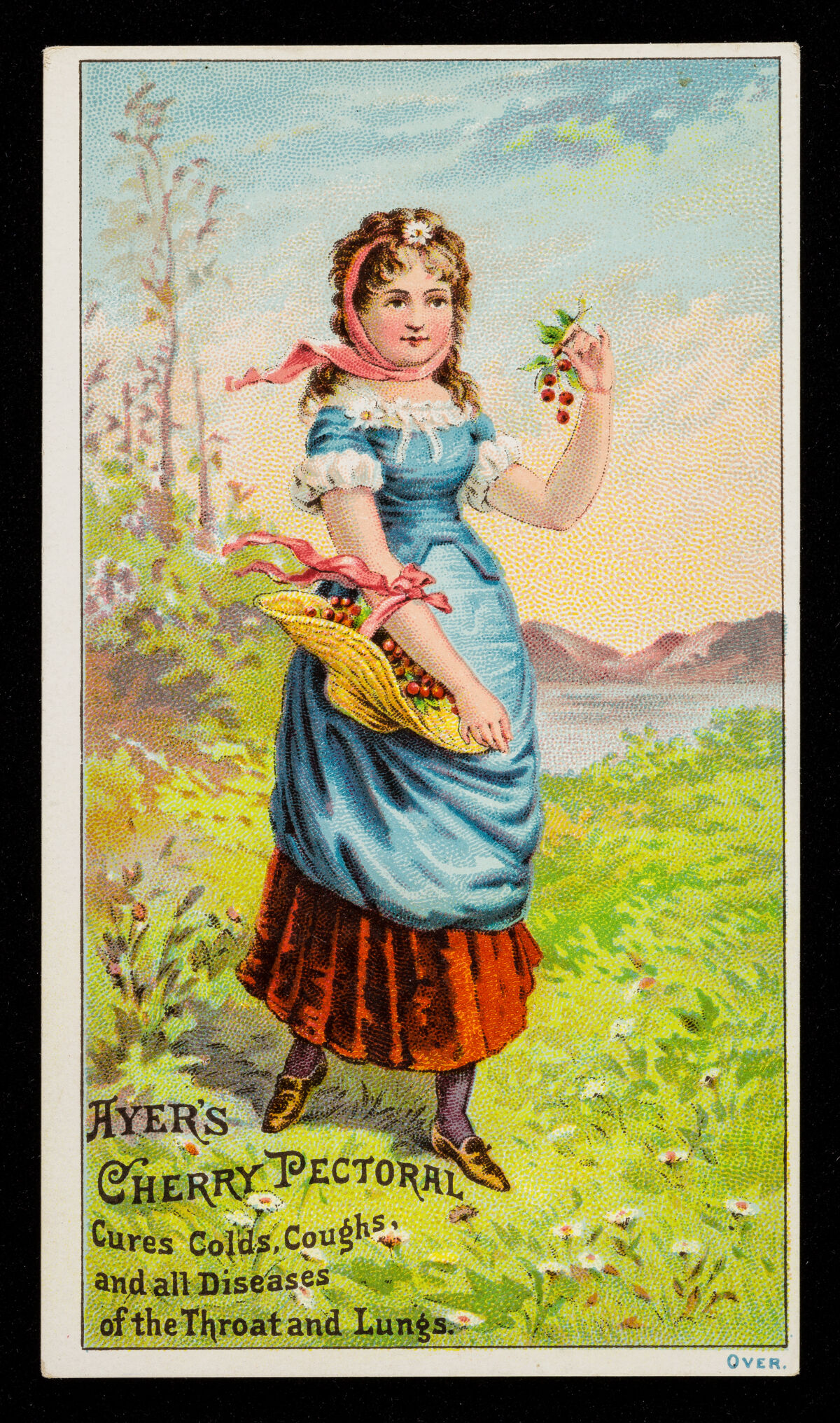 A colour card advertising Ayer's Cherry Pectoral cough medicine, made in Lowell, Massachusetts, showing a young woman carrying a basket of cherries.