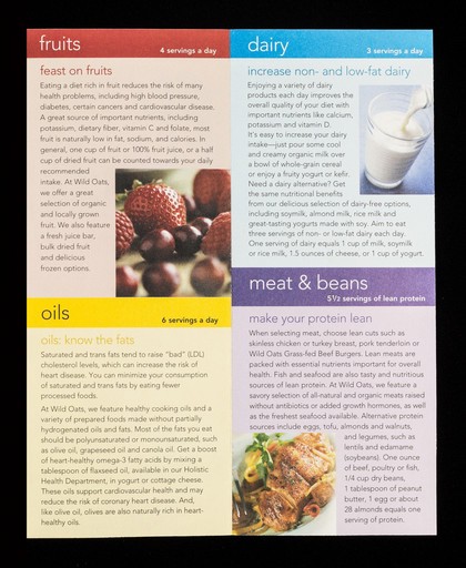 An overview of the new dietary guidelines : MyPyramid.gov : steps to a healthier you / Wild Oats natural marketplace.