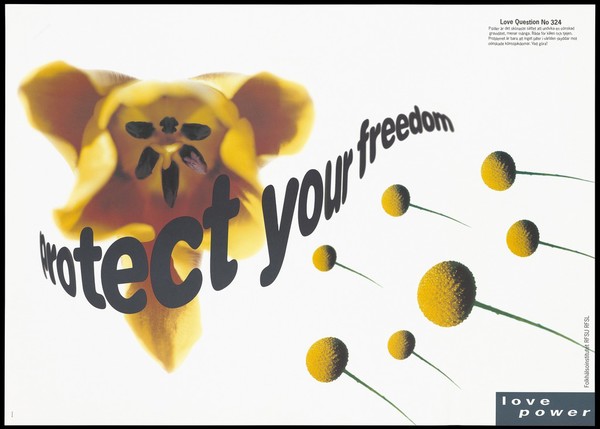 The seed heads of flowers flying like arrows towards the inner stamen of a yellow flower representing 'Love Question No 324', a warning that no pill in the world protects against unwanted sexually transmitted diseases; one of a series of safe sex AIDS prevention advertisements by Folkhälsoinstitutet, RFSU and RFSL. Colour lithograph by Garbergs, ca. 1995.