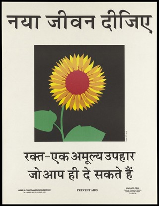 A sunflower, a symbol of bringing life back by giving blood; an AIDS prevention advertisement by the AIIMS Blood Transfusion Service and NGO AIDS Cell, New Delhi. Colour lithograph by N.R. Nanda, ca. January 1994.
