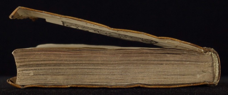 No text description is available for this image